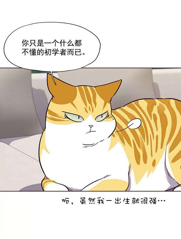 觉醒吧，铲屎官！21话