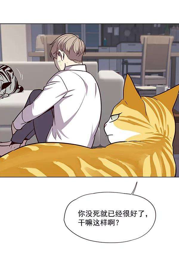 觉醒吧，铲屎官！21话