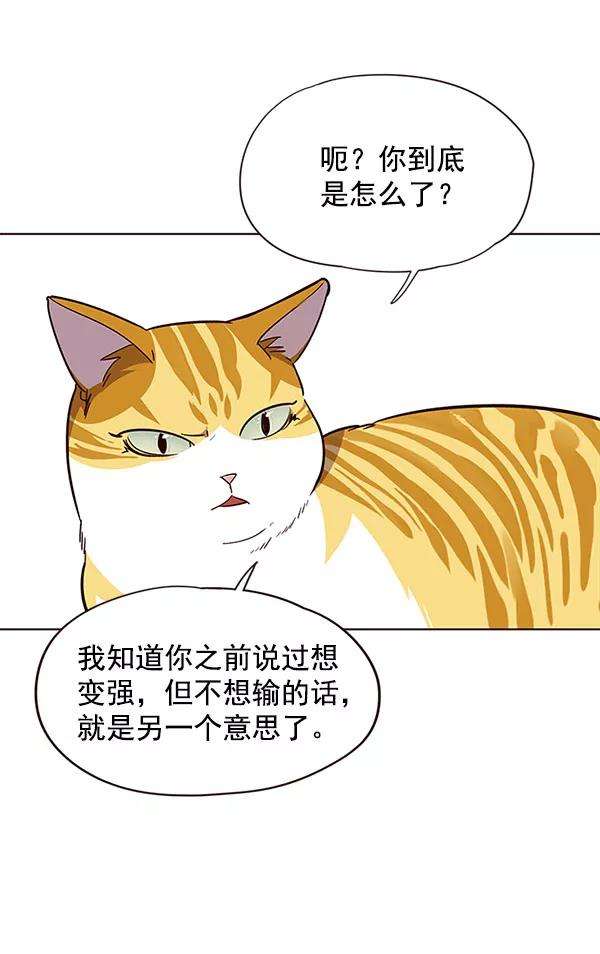 觉醒吧，铲屎官！21话