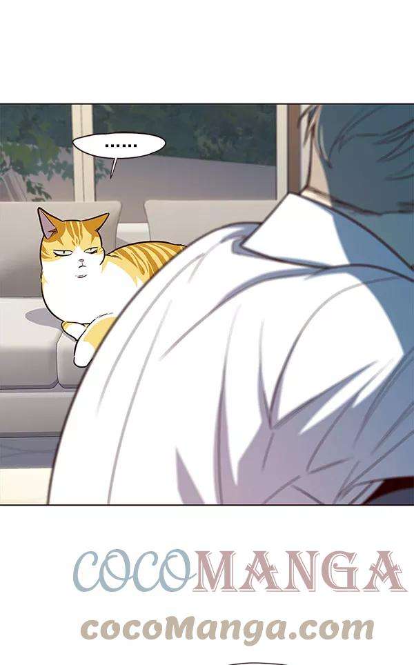 觉醒吧，铲屎官！21话