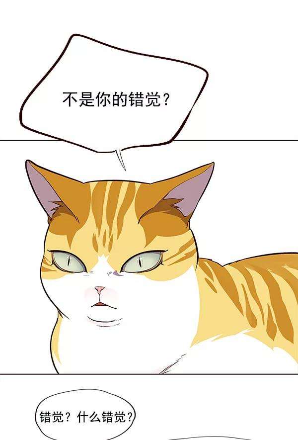 觉醒吧，铲屎官！21话