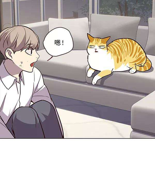 觉醒吧，铲屎官！21话