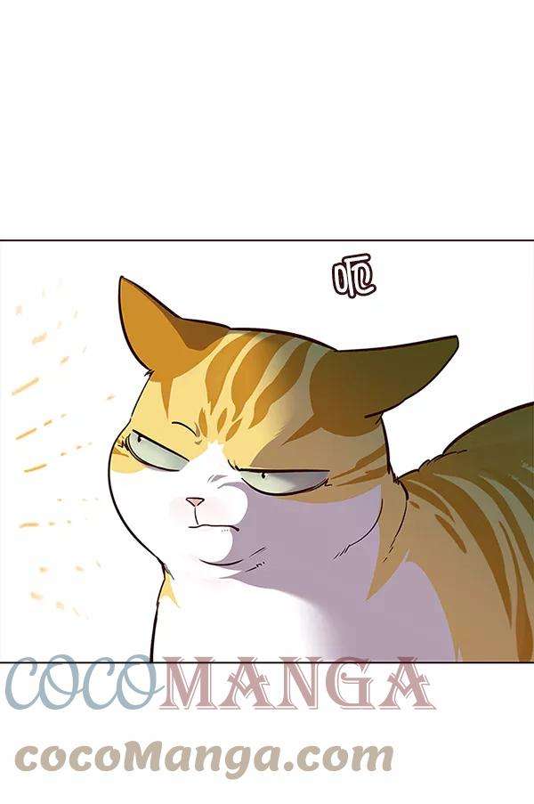 觉醒吧，铲屎官！21话