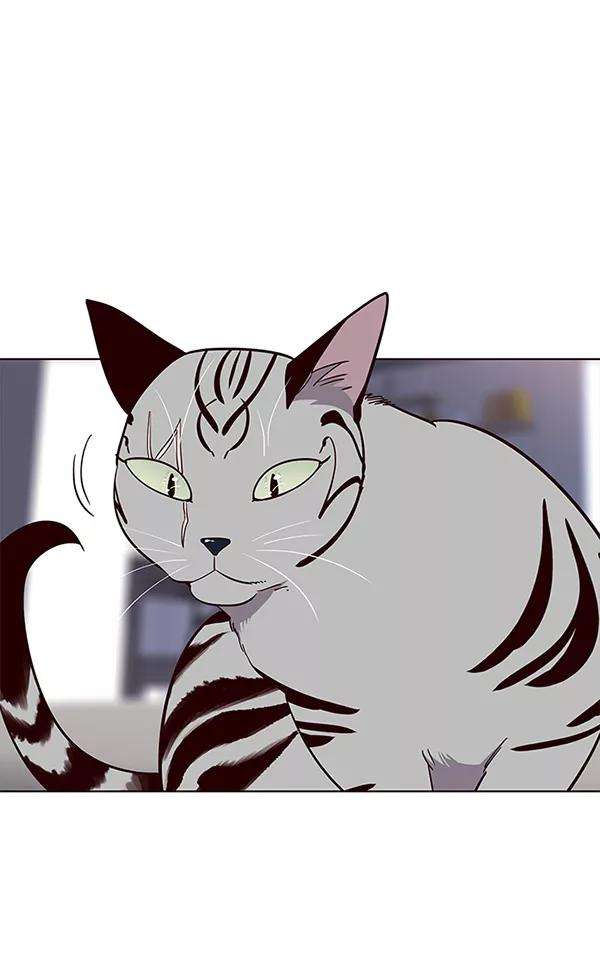 觉醒吧，铲屎官！21话