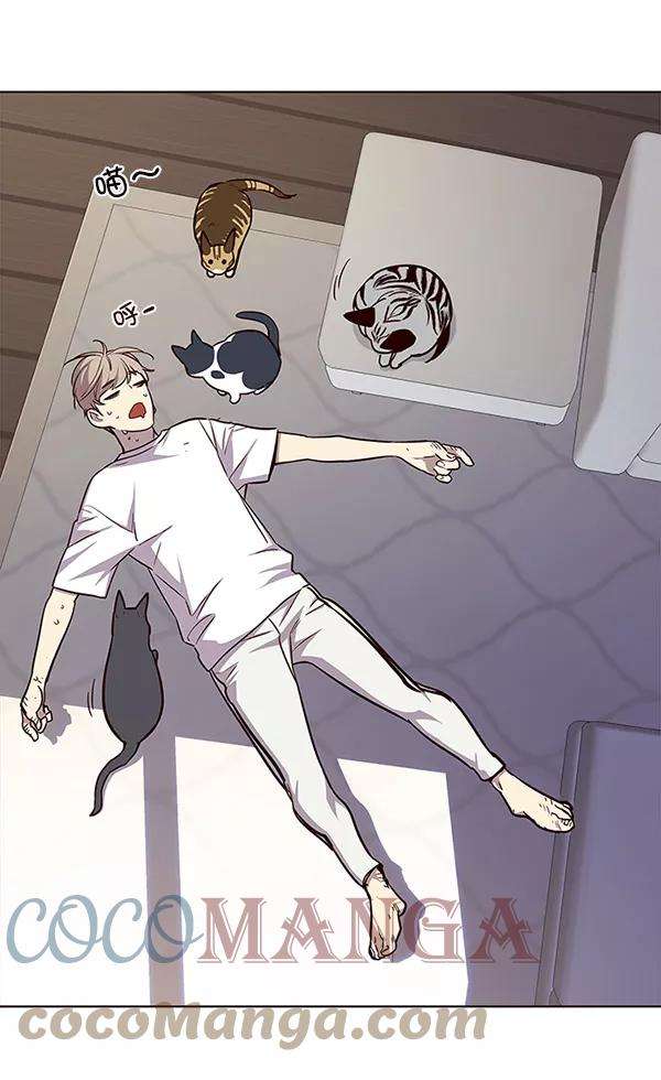 觉醒吧，铲屎官！21话