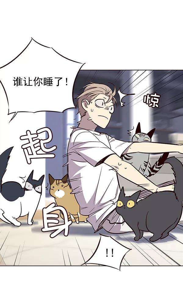 觉醒吧，铲屎官！21话