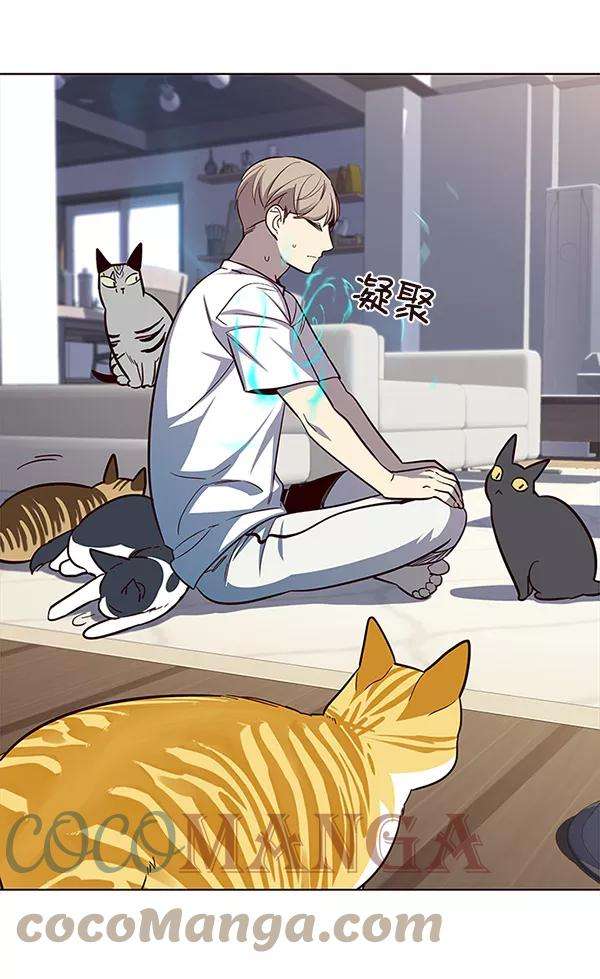 觉醒吧，铲屎官！21话