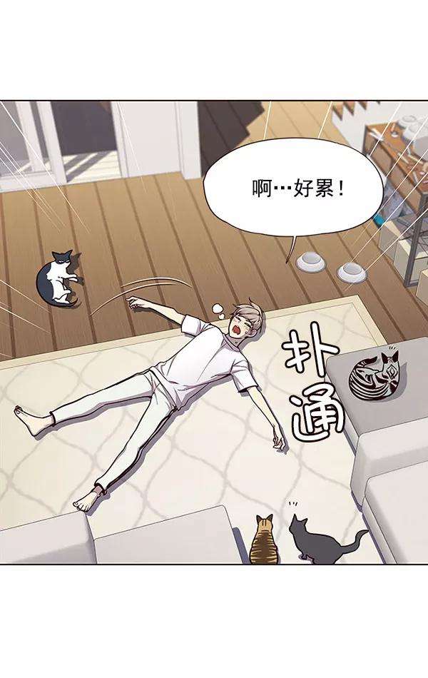 觉醒吧，铲屎官！22话