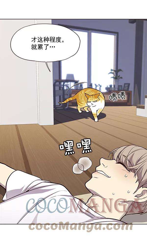 觉醒吧，铲屎官！22话