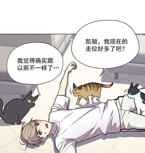 觉醒吧，铲屎官！22话