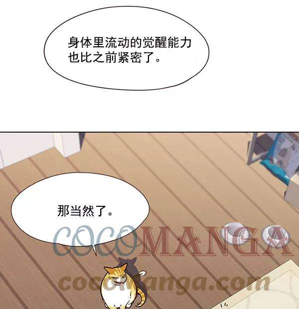 觉醒吧，铲屎官！22话