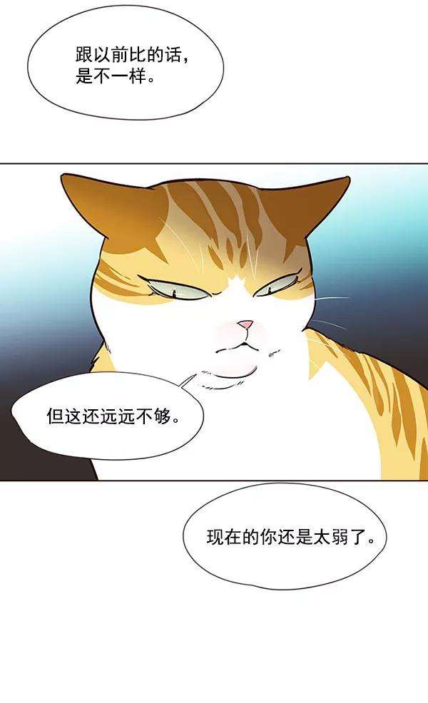 觉醒吧，铲屎官！22话