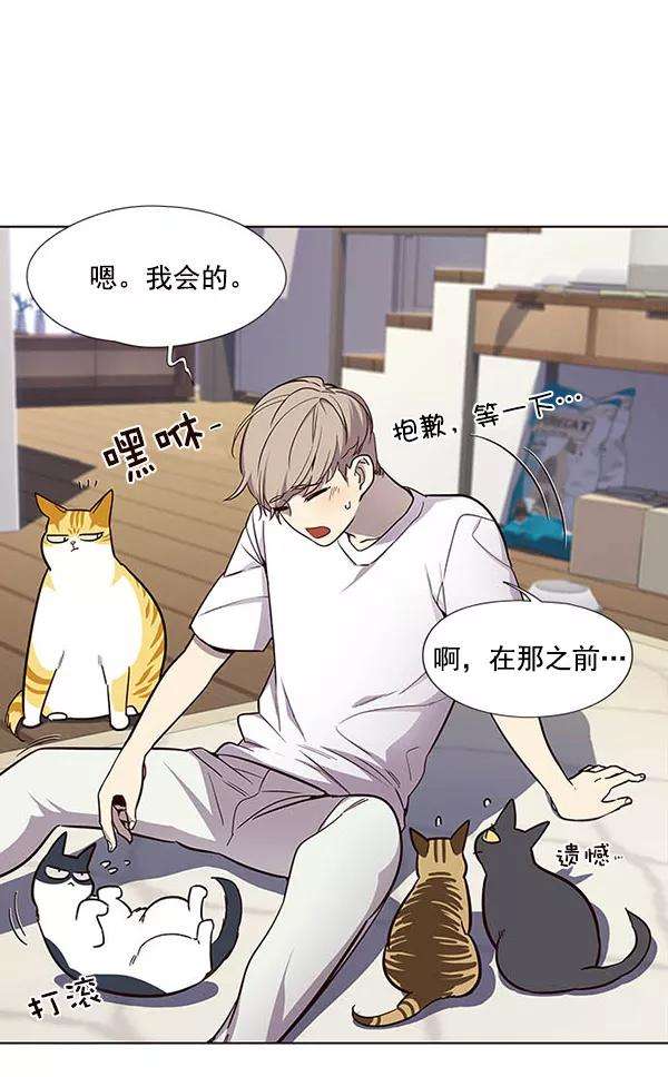 觉醒吧，铲屎官！22话