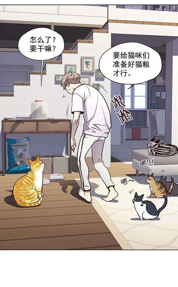 觉醒吧，铲屎官！22话