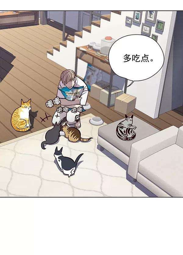 觉醒吧，铲屎官！22话