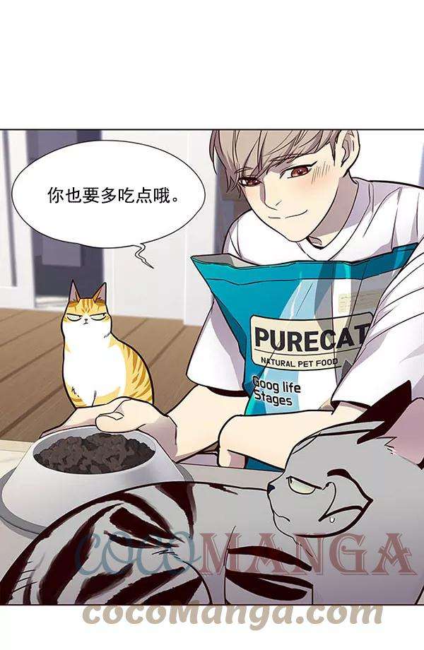 觉醒吧，铲屎官！22话