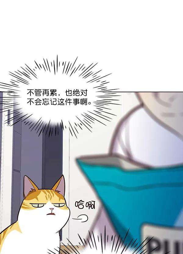 觉醒吧，铲屎官！22话