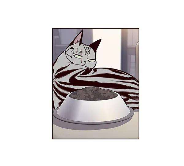 觉醒吧，铲屎官！22话