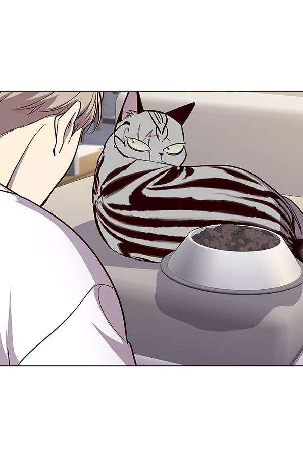 觉醒吧，铲屎官！22话