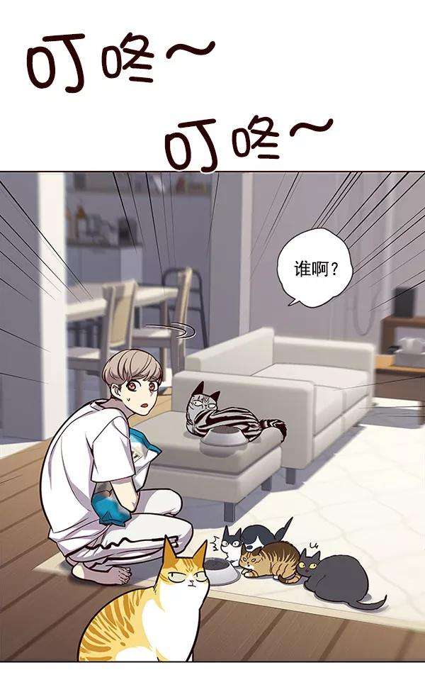 觉醒吧，铲屎官！22话