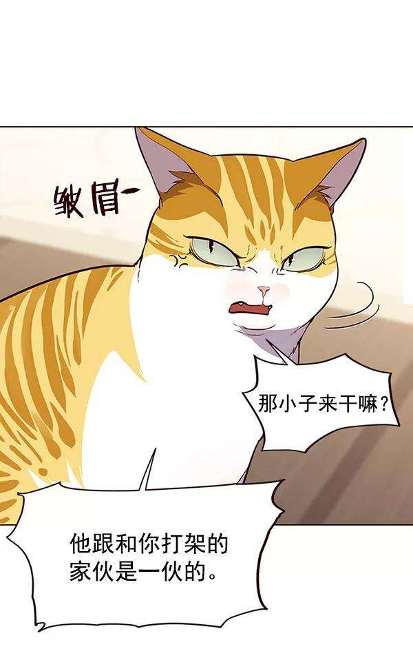 觉醒吧，铲屎官！22话