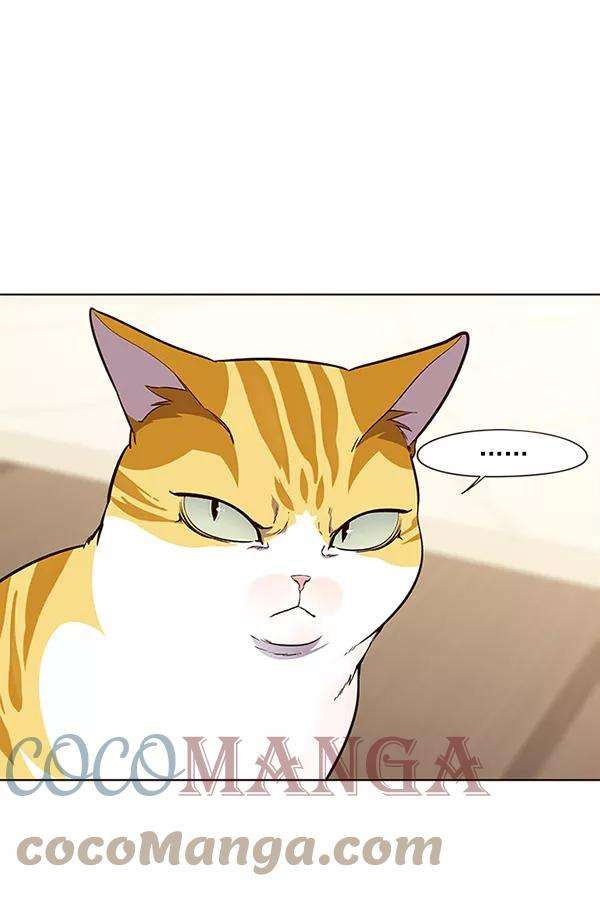 觉醒吧，铲屎官！22话
