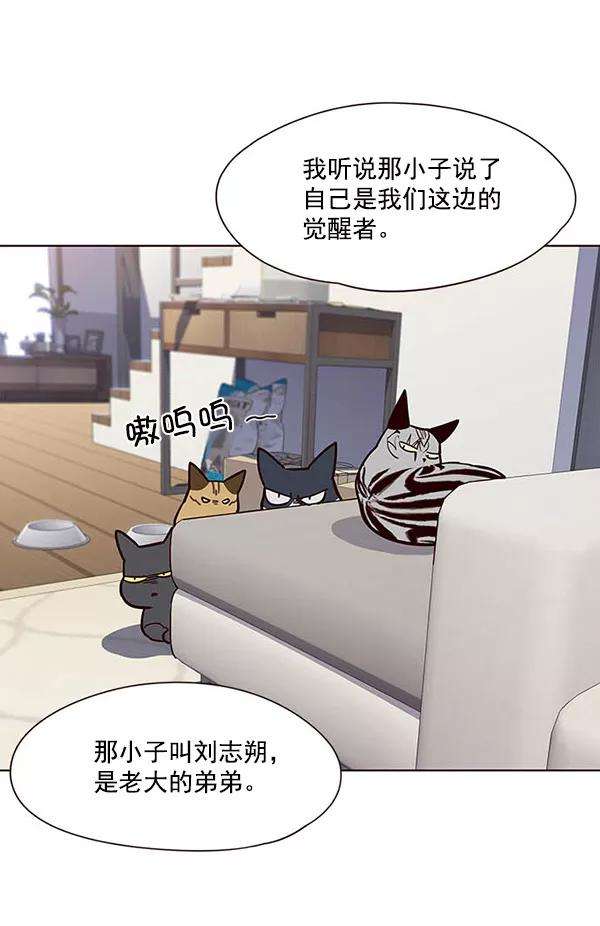 觉醒吧，铲屎官！22话