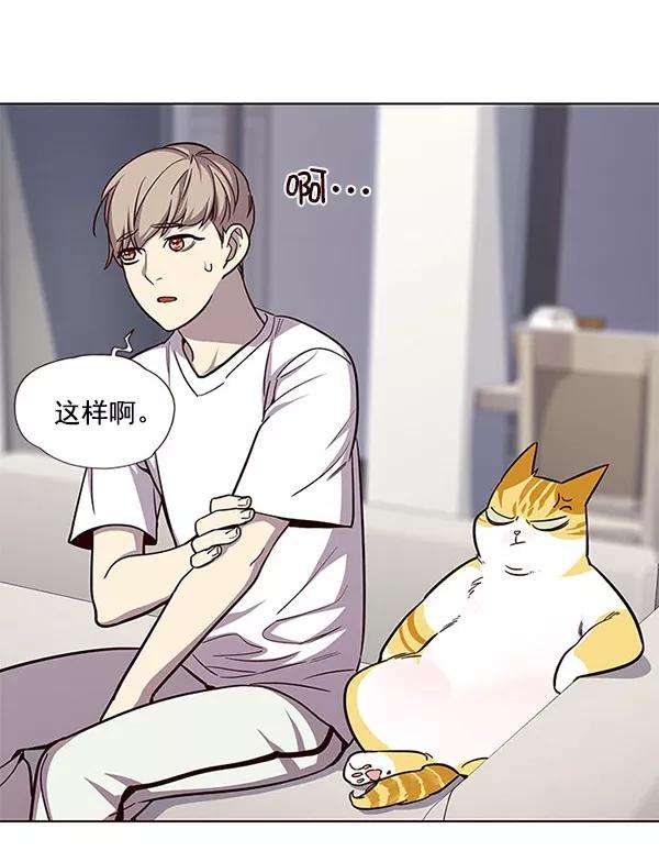 觉醒吧，铲屎官！22话