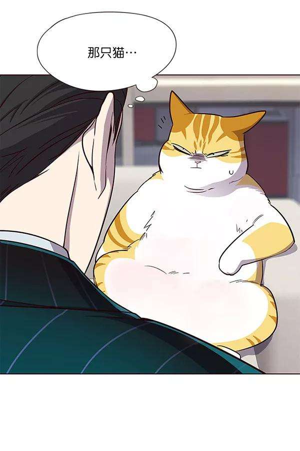 觉醒吧，铲屎官！22话