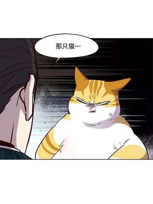 觉醒吧，铲屎官！22话