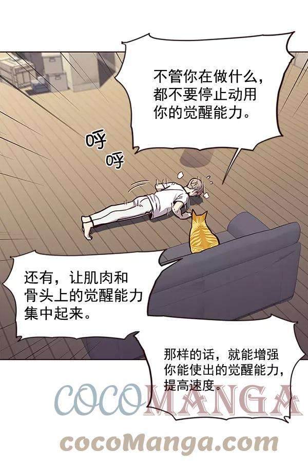 觉醒吧，铲屎官！23话