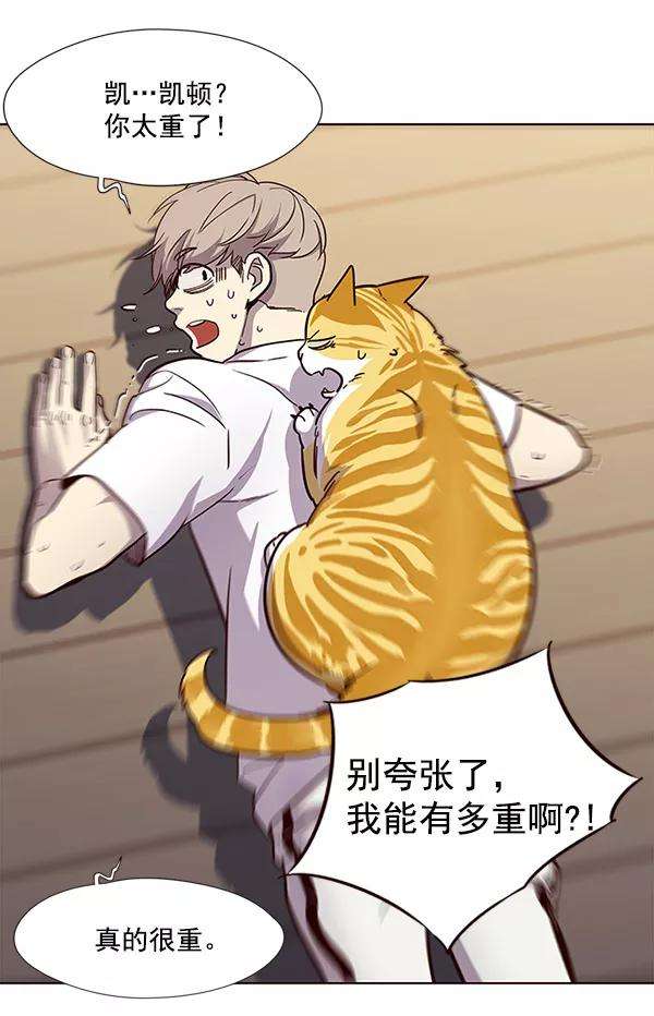 觉醒吧，铲屎官！23话