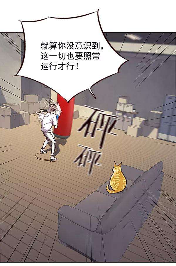 觉醒吧，铲屎官！23话