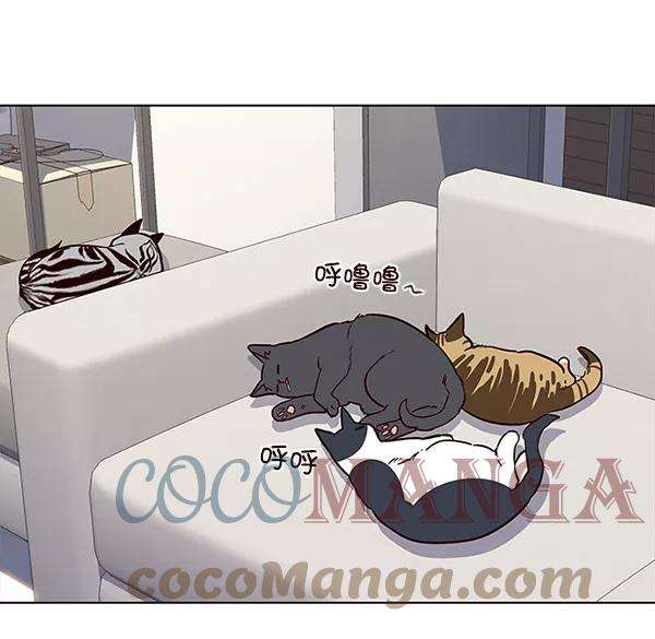 觉醒吧，铲屎官！23话