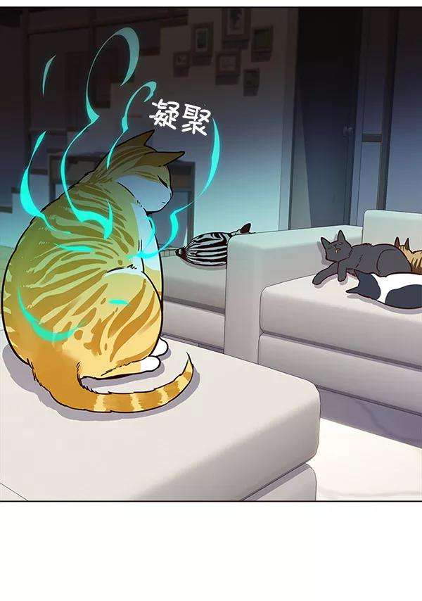 觉醒吧，铲屎官！23话