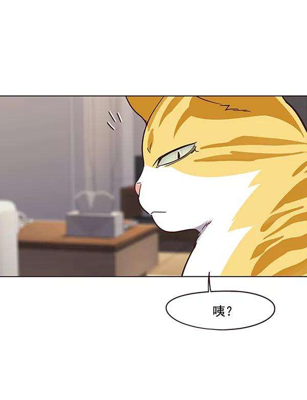 觉醒吧，铲屎官！23话