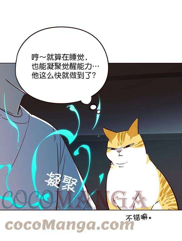 觉醒吧，铲屎官！23话