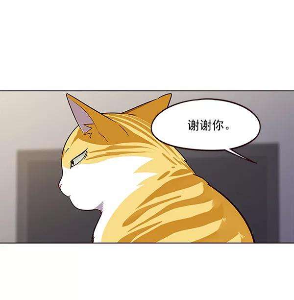 觉醒吧，铲屎官！23话
