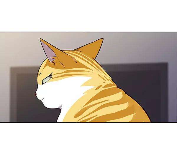 觉醒吧，铲屎官！23话