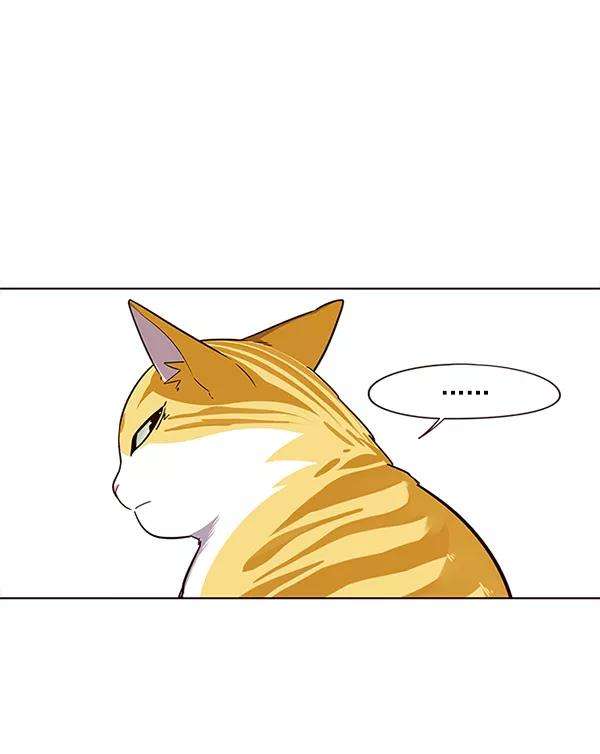 觉醒吧，铲屎官！23话