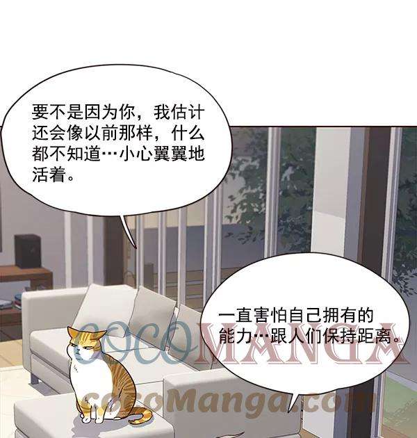 觉醒吧，铲屎官！23话