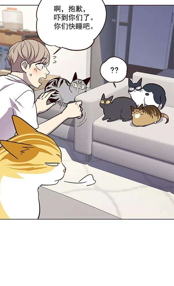 觉醒吧，铲屎官！23话