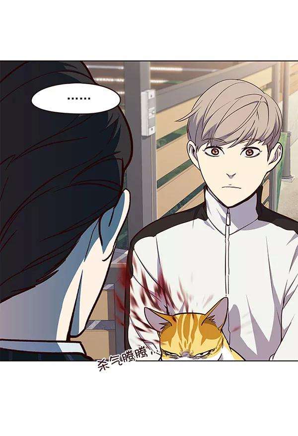 觉醒吧，铲屎官！23话