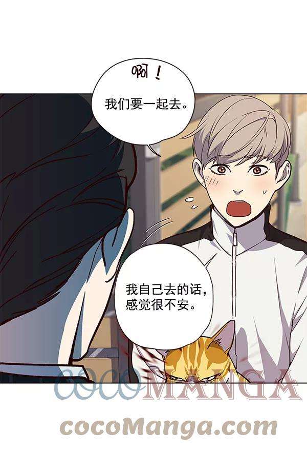 觉醒吧，铲屎官！23话