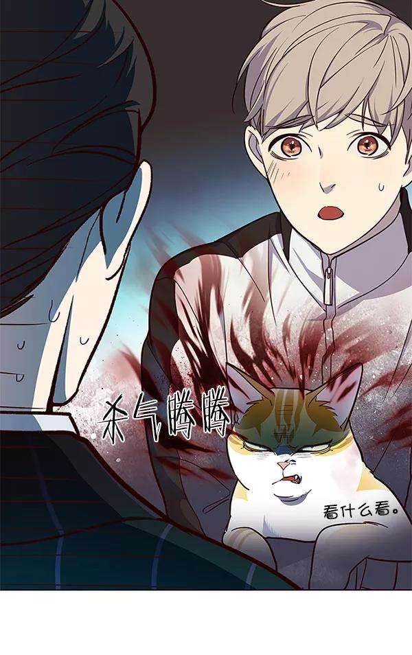 觉醒吧，铲屎官！23话