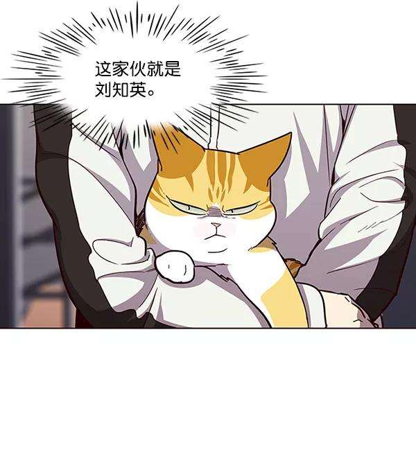 觉醒吧，铲屎官！24话