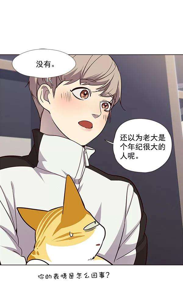 觉醒吧，铲屎官！24话