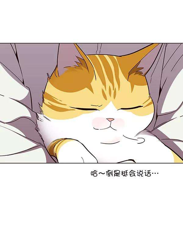 觉醒吧，铲屎官！24话