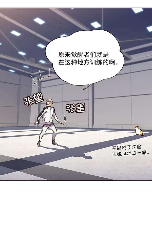 觉醒吧，铲屎官！24话