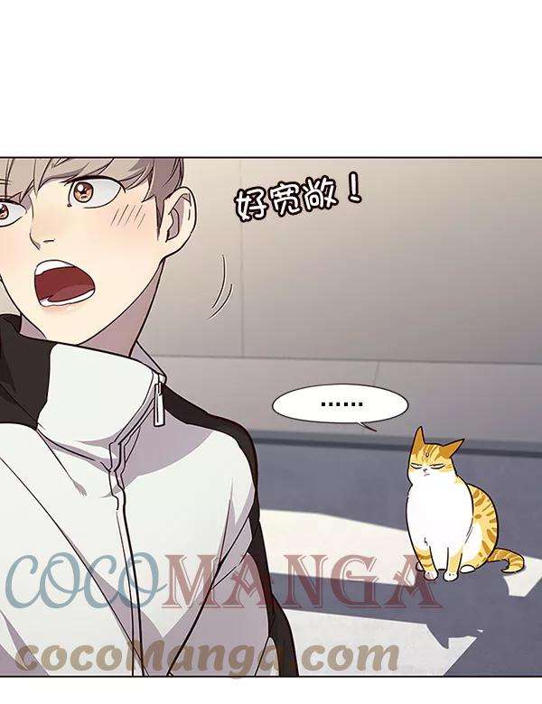 觉醒吧，铲屎官！24话